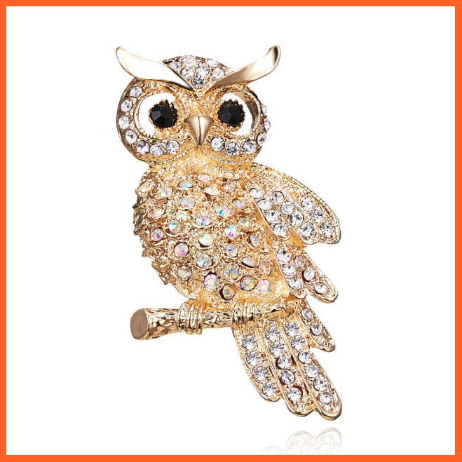 whatagift.com.au Brooches 5 Lovely Owl Brooches | Trendy Rhinestone Bird Casual Decoration Badge Pin