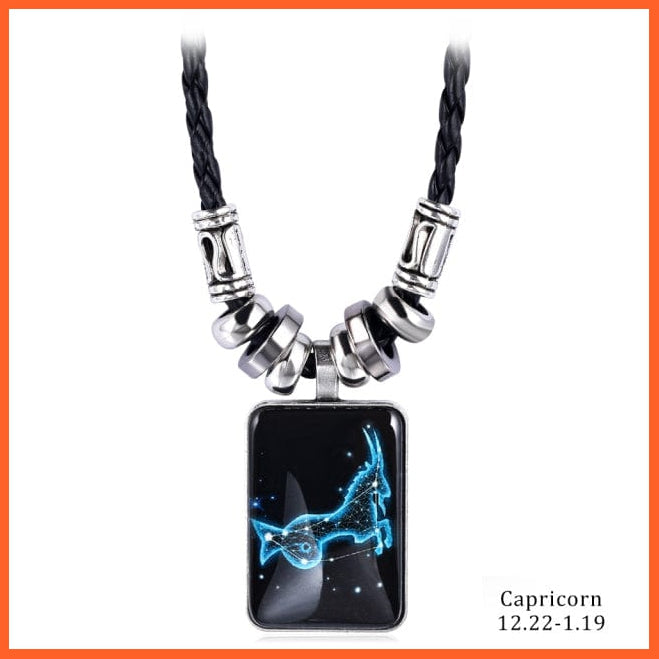 whatagift.com.au Capricorn 12 Zodiac Sign Charm Resin Pendant Necklace for Women Men