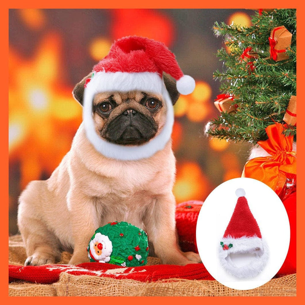 whatagift.com.au Caps Christmas Dog Cap | Accessories For Small Dogs Party