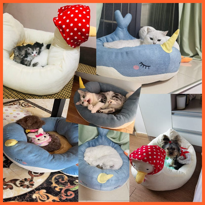 whatagift.com.au Cat Beds Pet Cat Dog Bed House | Indoor Warm Kitten Kennel Small Dog Cute Sleeping Mats