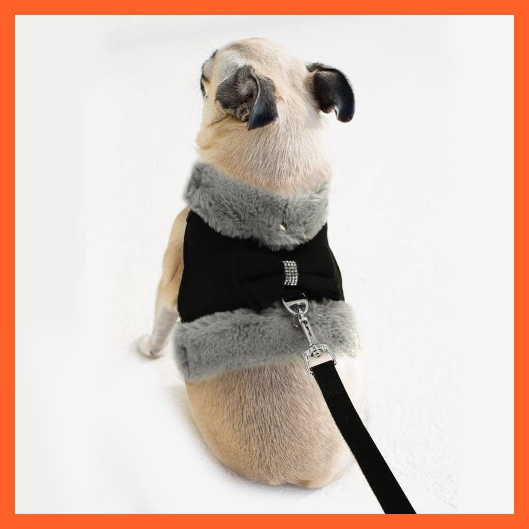 whatagift.com.au Cat Clothing Cute Harness For Cat | Warm Winter Cloth