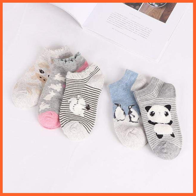 Cute Cat Socks - Ankle Socks Set Of 5 | whatagift.com.au.