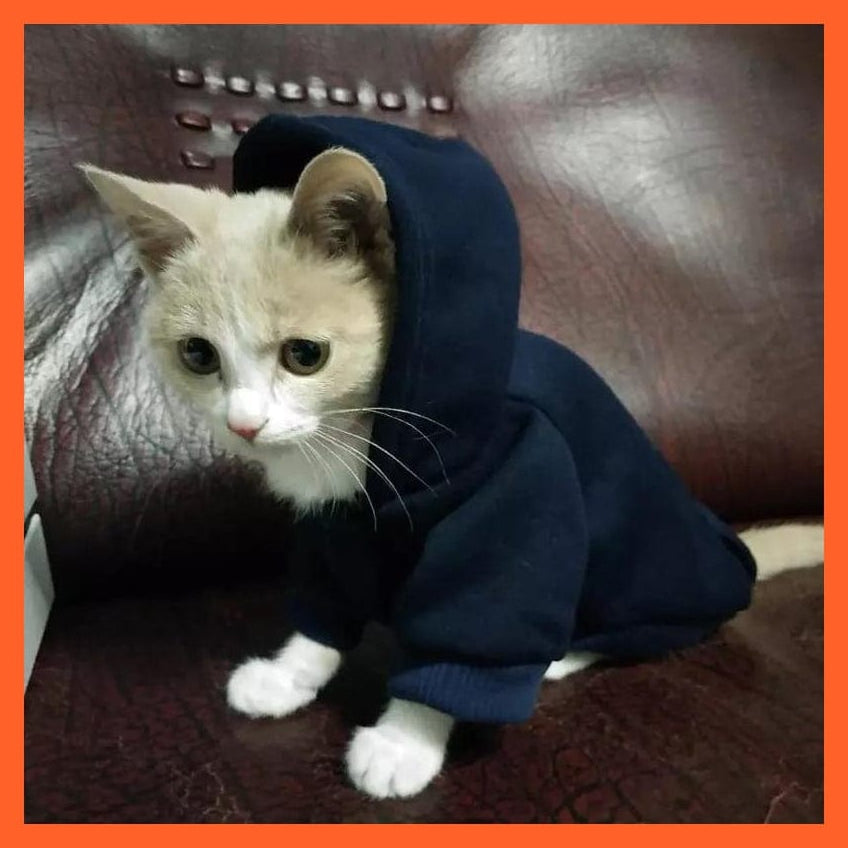 whatagift.com.au Cat Hoodie Winter Warm Jacket