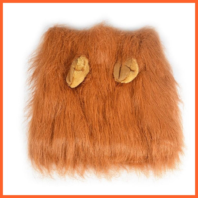 Lion Costume For Kids | whatagift.com.au.