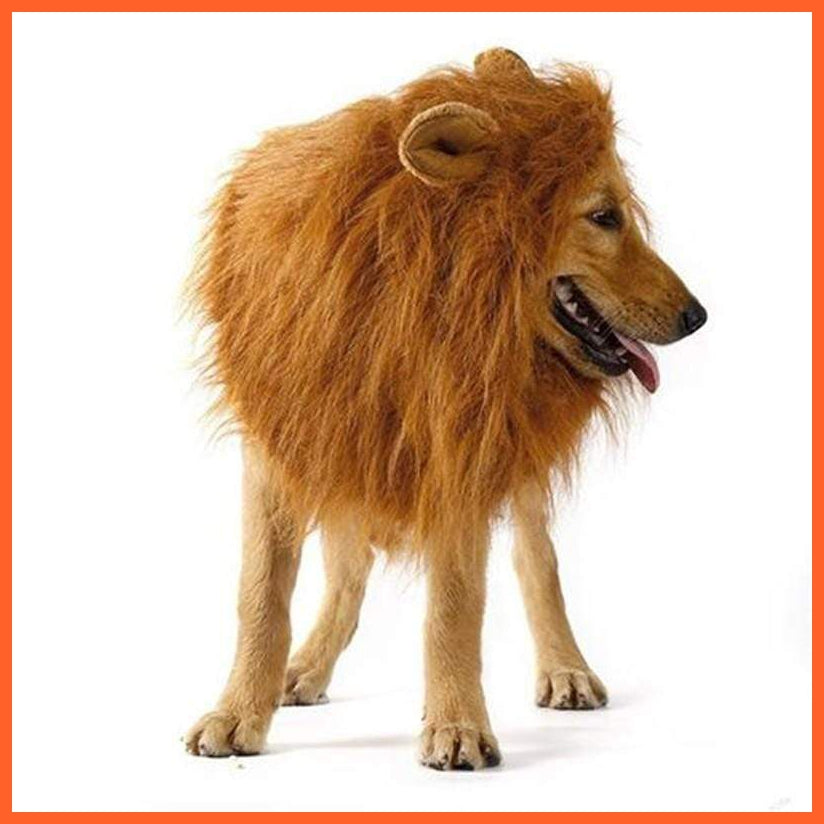 Lion Costume For Kids | whatagift.com.au.