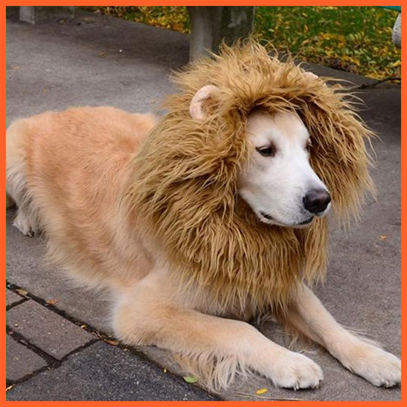 Lion Costume For Kids | whatagift.com.au.