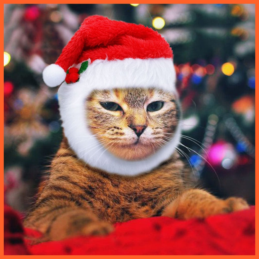 whatagift.com.au costume Christmas Costumes for Pets | Dog and Cat Christmas Hat