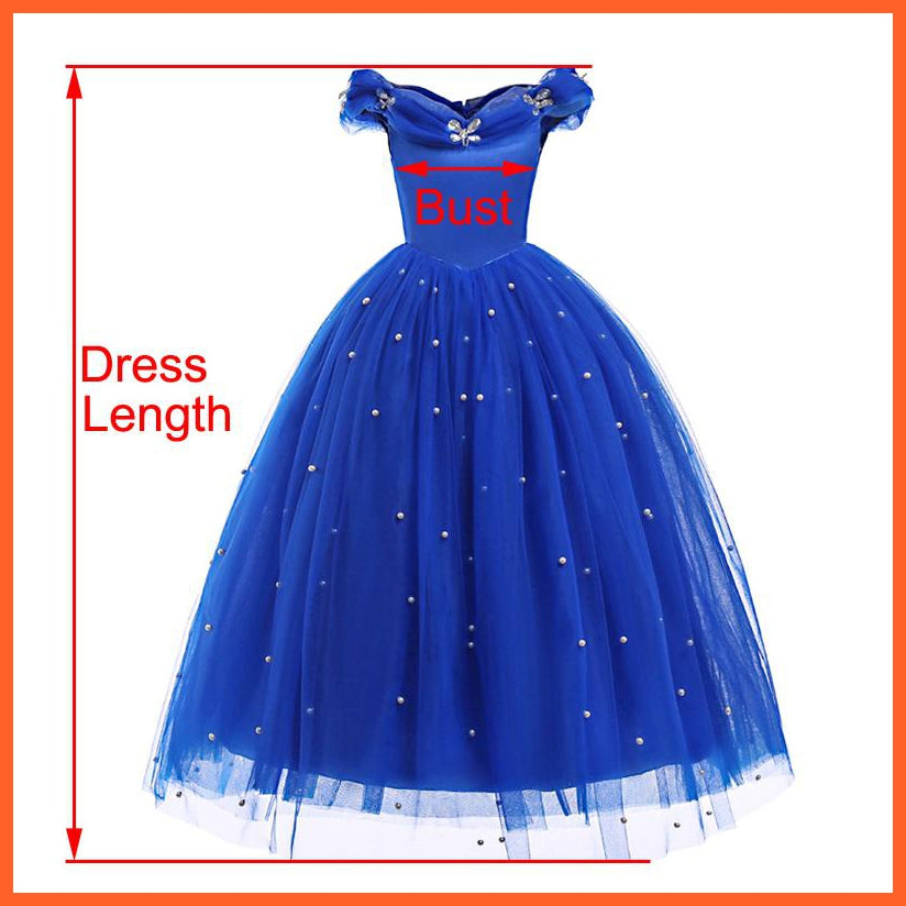 Princess Cinderella Style Blue Cosplay For Theme Party | whatagift.com.au.