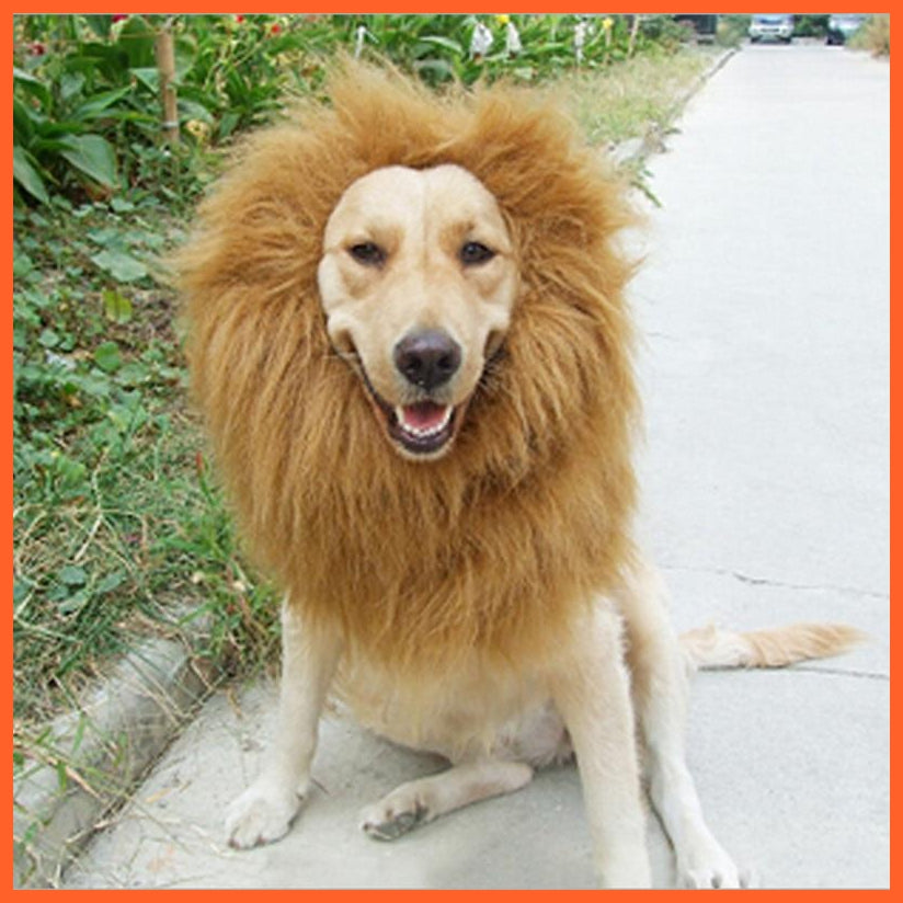 Lion Costume For Dogs | Pet Costume Of Lion | whatagift.com.au.