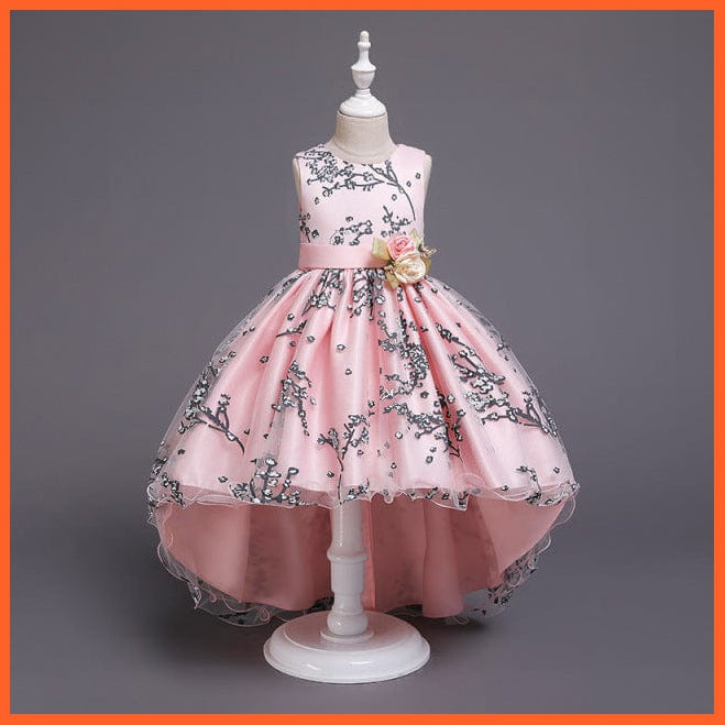 whatagift.com.au D1382-Pink / 11 Baby Girls Flower Print Princess Ball Gown Party Trailing Dress