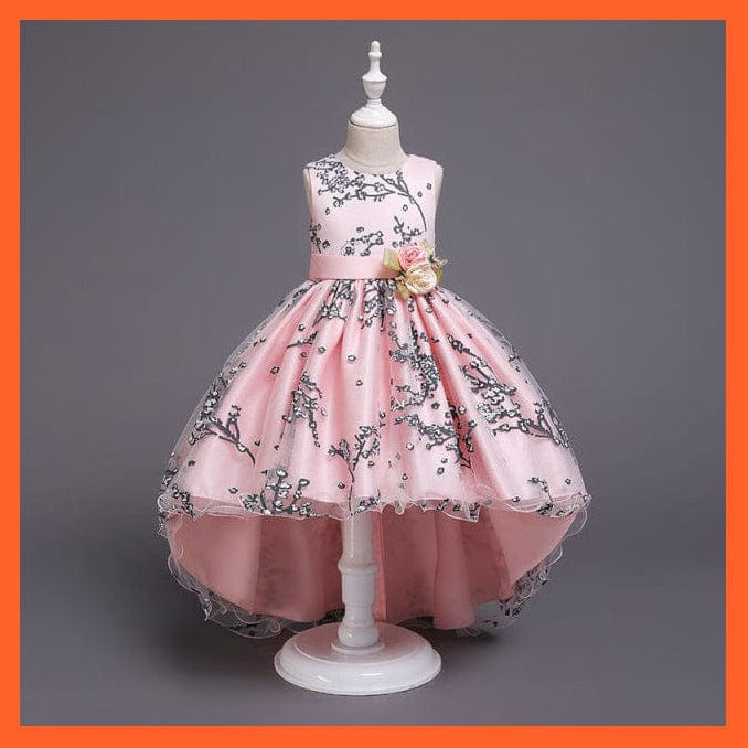 whatagift.com.au D1382-Pink / 3T Baby Girls Flower Print Princess Ball Gown Party Trailing Dress