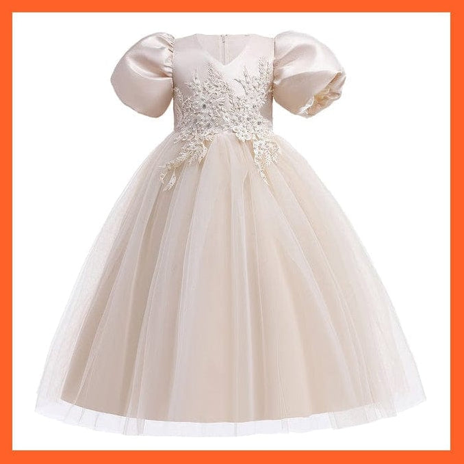 whatagift.com.au D4028-Champagne / 4T Baby Girls Flower Print Princess Ball Gown Party Trailing Dress