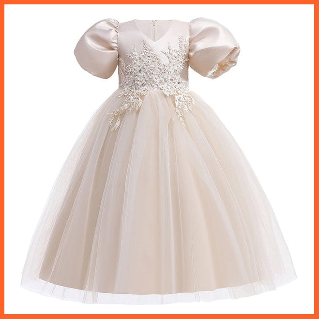 whatagift.com.au D4028-Champagne / 8 Baby Girls Flower Print Princess Ball Gown Party Trailing Dress