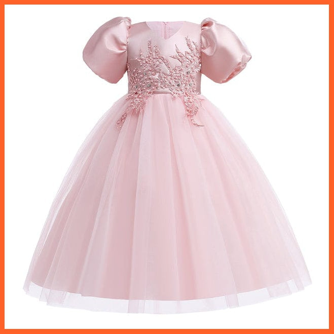 whatagift.com.au D4028-Pink / 10 Baby Girls Flower Print Princess Ball Gown Party Trailing Dress