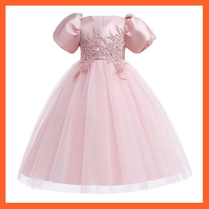 whatagift.com.au D4028-Pink / 10 Baby Girls Flower Print Princess Ball Gown Party Trailing Dress