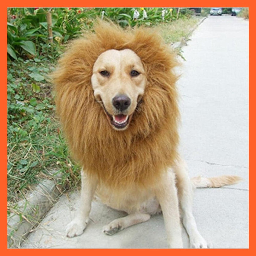 whatagift.com.au Dog Apparel 4 / 74cm Lion Costume For Dogs | Pet Costume Of Lion