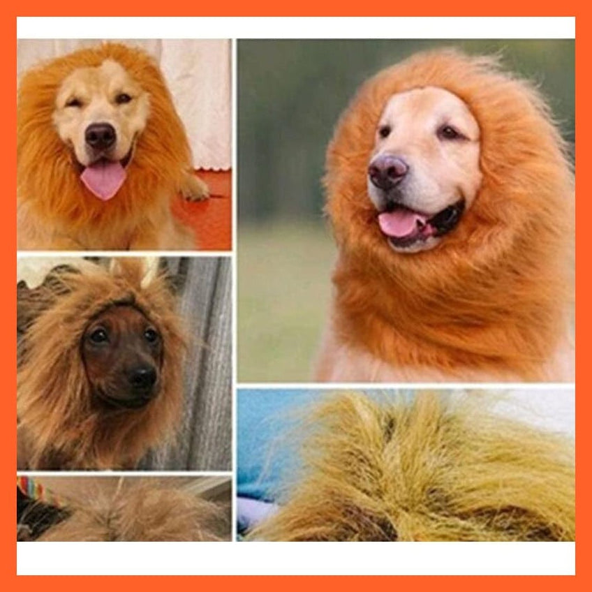 whatagift.com.au Dog Apparel Lion Costume For Dogs | Pet Costume Of Lion
