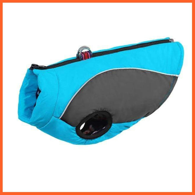 Warm Jacket For French Bulldog For Small And Medium Dog | whatagift.com.au.