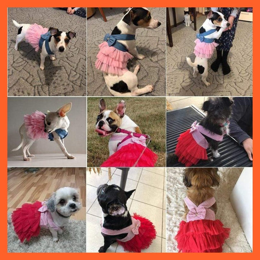 whatagift.com.au Dog Clothes Cute Skirt Dress For Pets