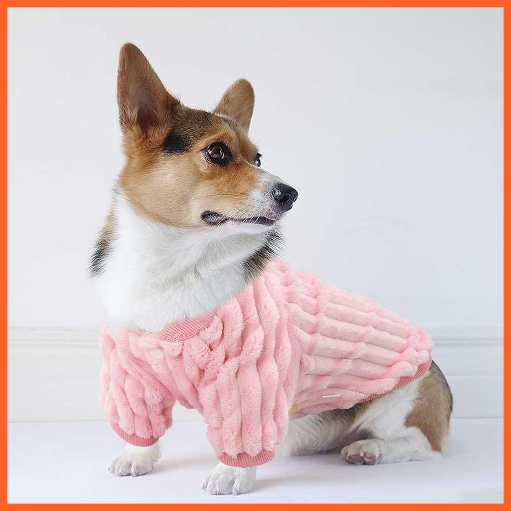 Cute Soft Tshirt For Dog | whatagift.com.au.