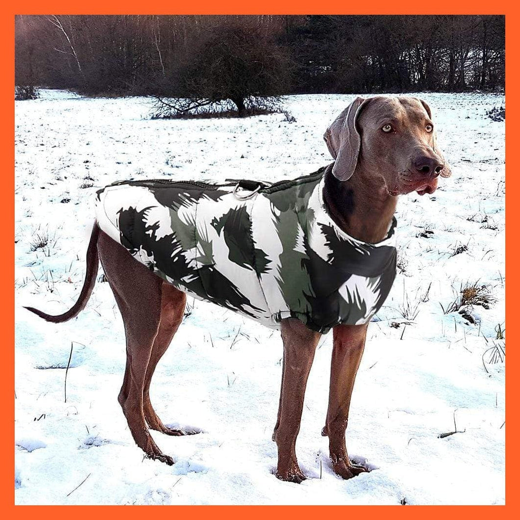 whatagift.com.au Dog Clothes Printed Winter Clothes For Dog