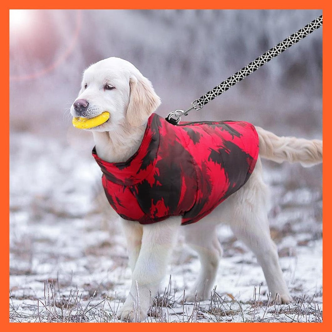 whatagift.com.au Dog Clothes Printed Winter Clothes For Dog