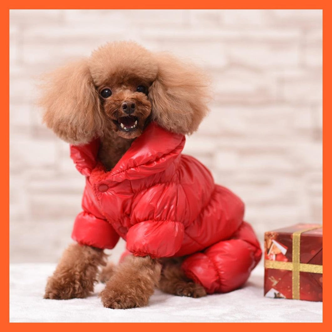 whatagift.com.au Dog Clothes Shiny Warm Clothes For Pet