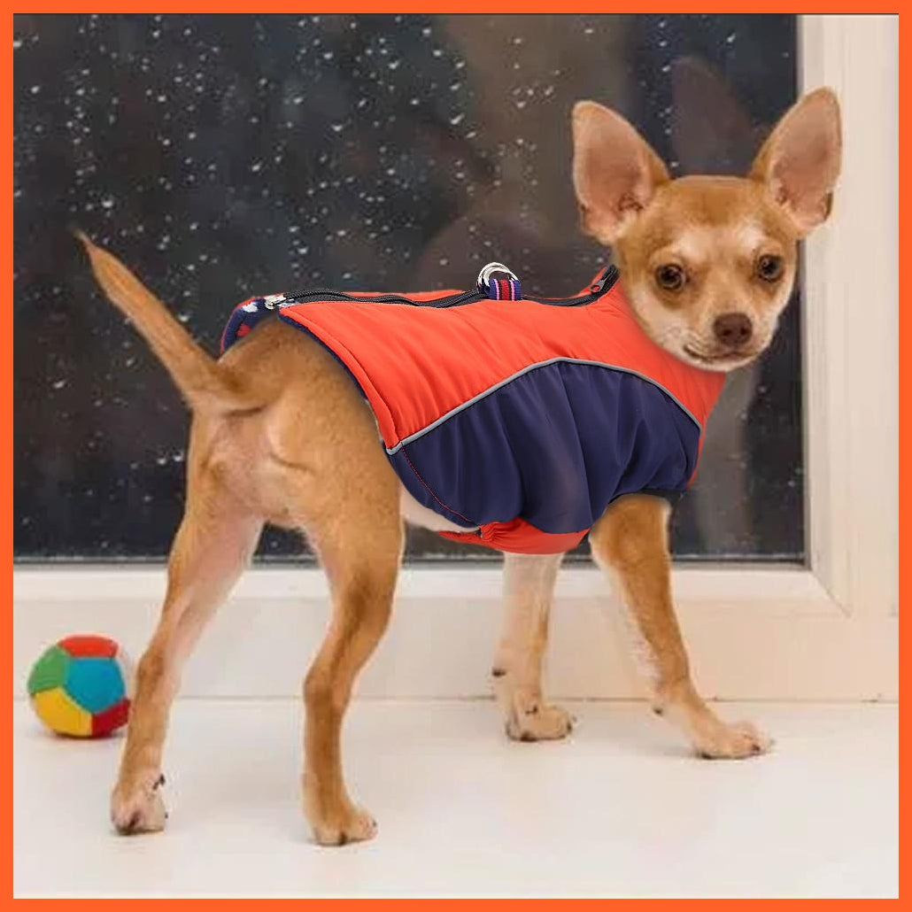 Warm Jacket For French Bulldog For Small And Medium Dog | whatagift.com.au.