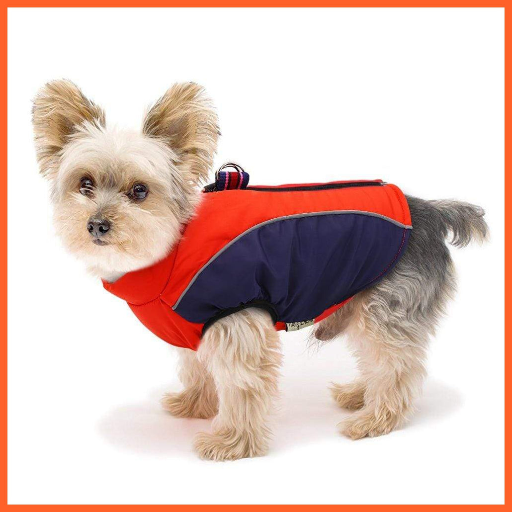 Warm Jacket For French Bulldog For Small And Medium Dog | whatagift.com.au.