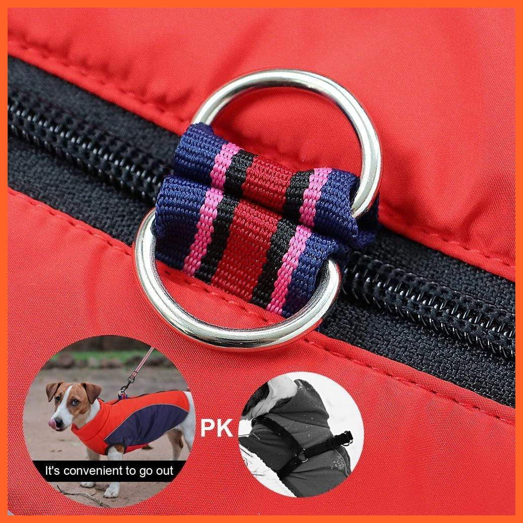 Warm Jacket For French Bulldog For Small And Medium Dog | whatagift.com.au.