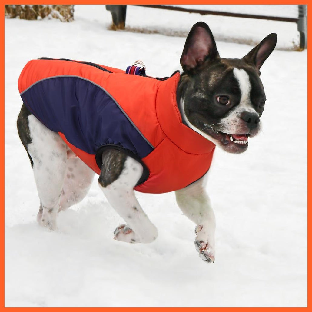 Warm Jacket For French Bulldog For Small And Medium Dog | whatagift.com.au.