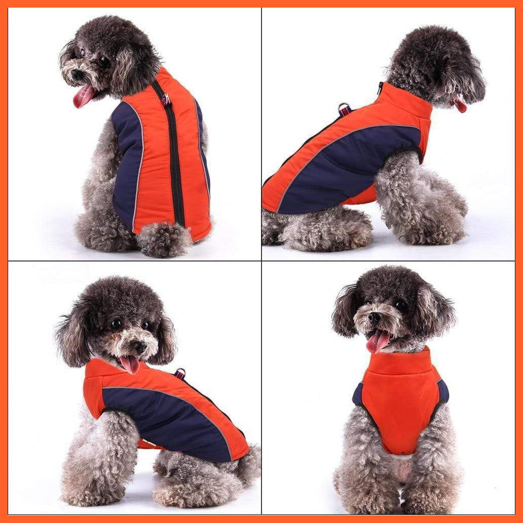 Warm Jacket For French Bulldog For Small And Medium Dog | whatagift.com.au.