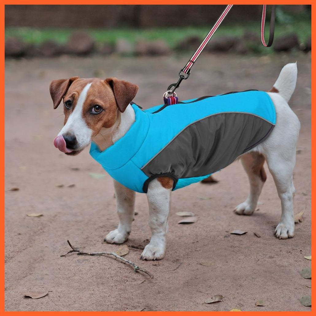 Warm Jacket For French Bulldog For Small And Medium Dog | whatagift.com.au.
