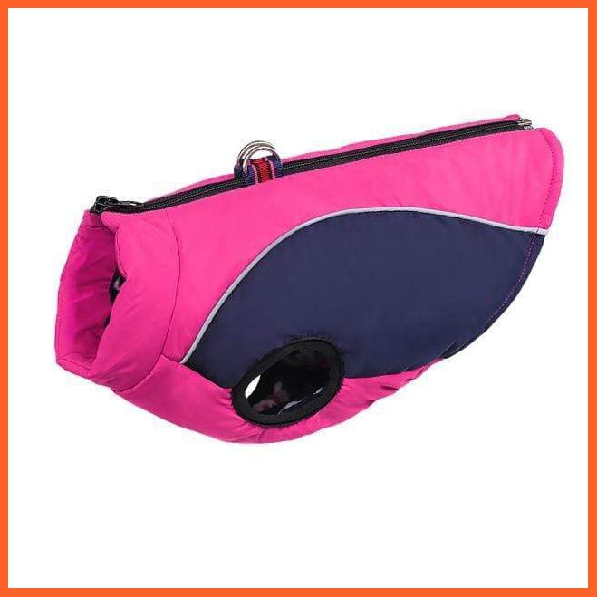 Warm Jacket For French Bulldog For Small And Medium Dog | whatagift.com.au.