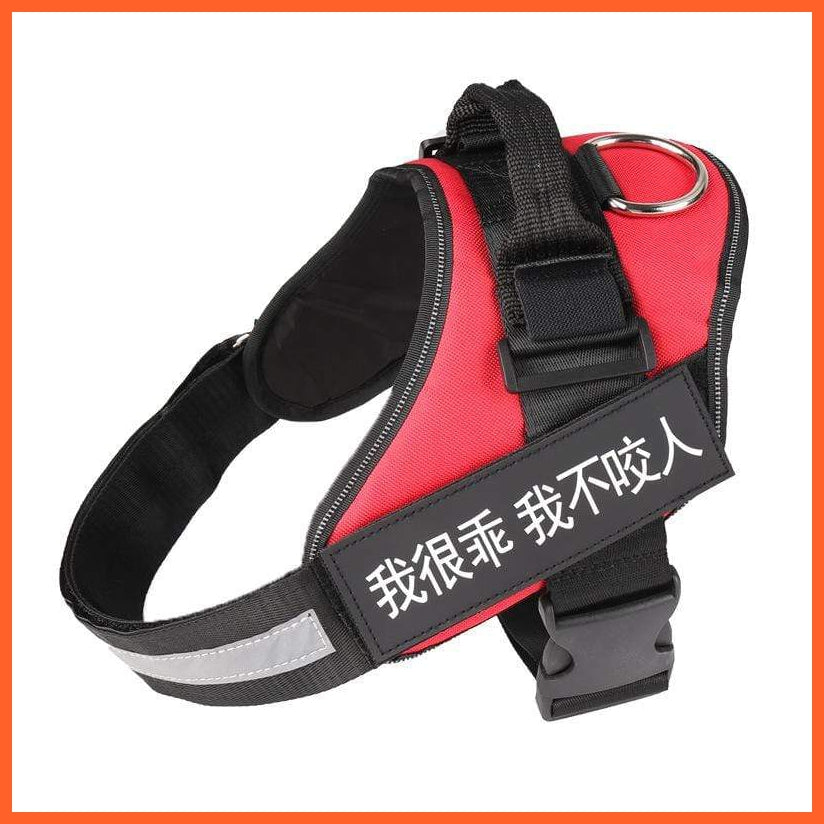 Personalised Custom Dog Harness | Dog Collar Name Safe Dog Harness | whatagift.com.au.