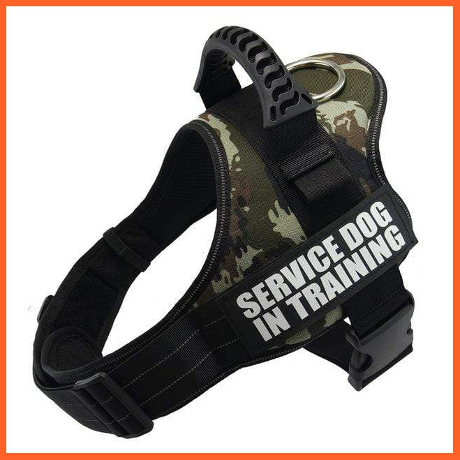 Personalised Custom Dog Harness | Dog Collar Name Safe Dog Harness | whatagift.com.au.