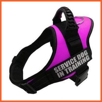 Personalised Custom Dog Harness | Dog Collar Name Safe Dog Harness | whatagift.com.au.