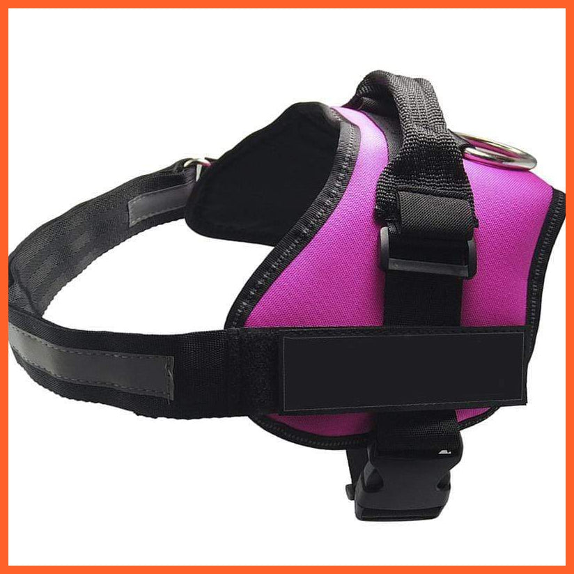 Personalised Custom Dog Harness | Dog Collar Name Safe Dog Harness | whatagift.com.au.