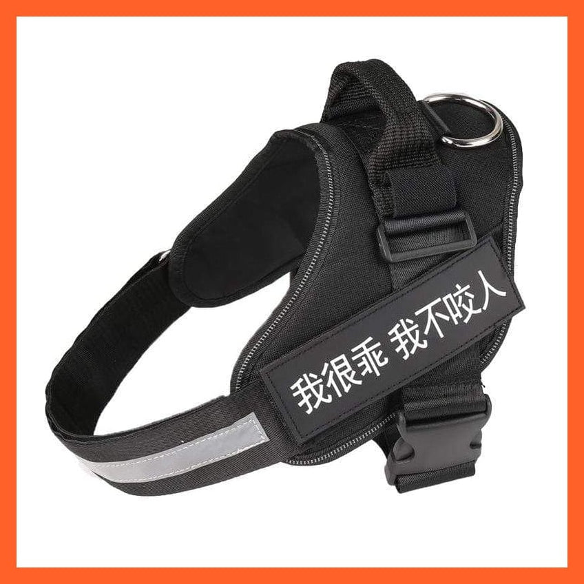 whatagift.com.au dog harness Personalized Custom Dog Harness | Dog Collar Name Safe Dog Harness