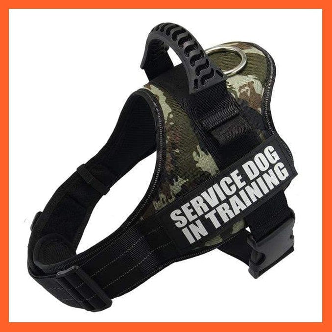 whatagift.com.au dog harness Personalized Custom Dog Harness | Dog Collar Name Safe Dog Harness