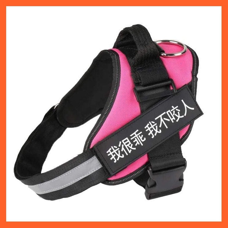 whatagift.com.au dog harness Personalized Custom Dog Harness | Dog Collar Name Safe Dog Harness