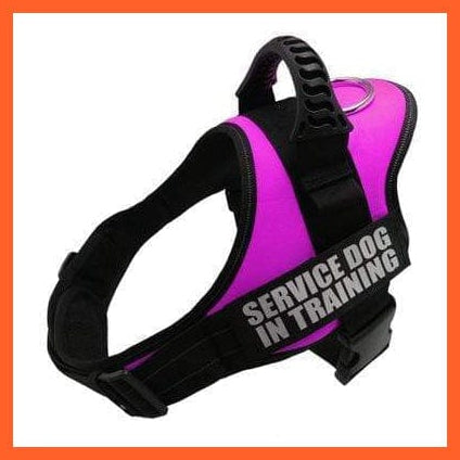 whatagift.com.au dog harness Personalized Custom Dog Harness | Dog Collar Name Safe Dog Harness