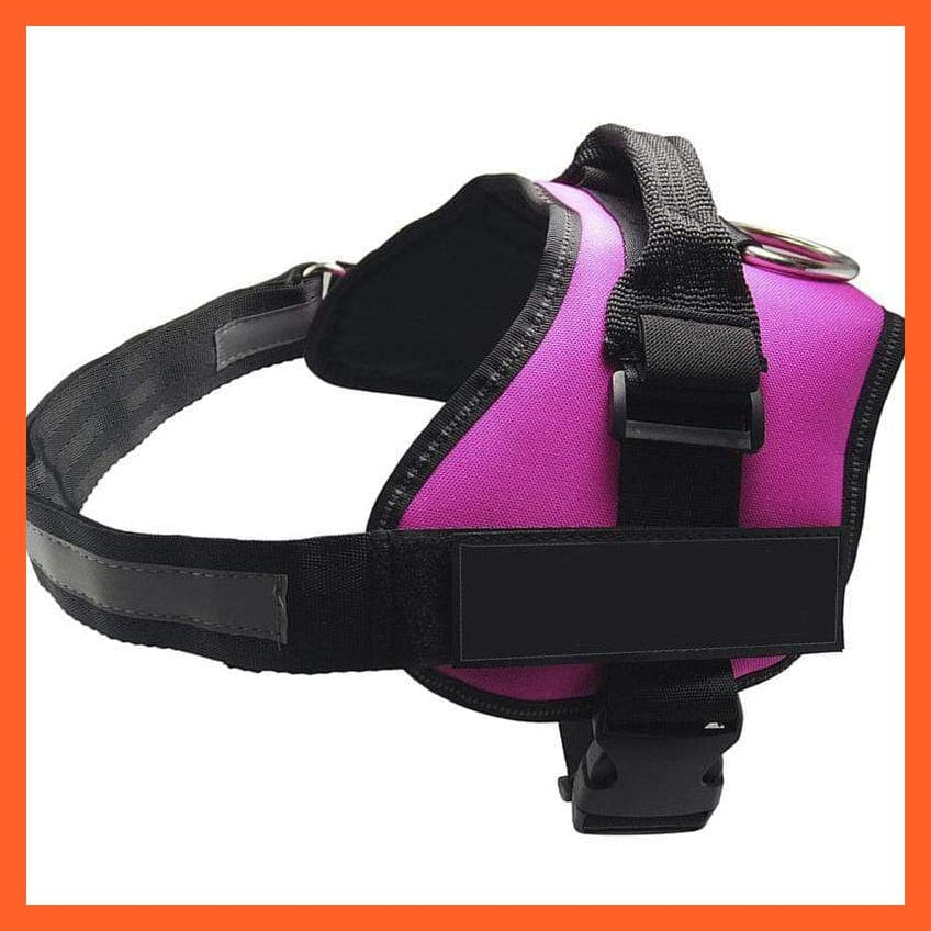 whatagift.com.au dog harness Personalized Custom Dog Harness | Dog Collar Name Safe Dog Harness