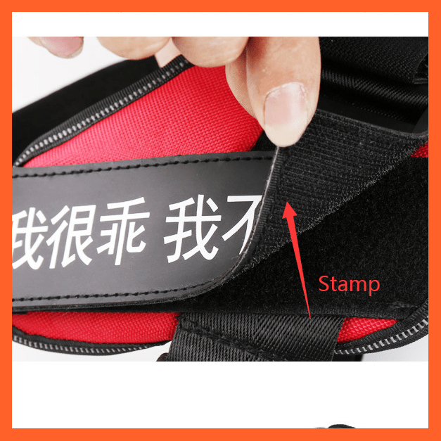 whatagift.com.au dog harness Personalized Custom Dog Harness | Dog Collar Name Safe Dog Harness