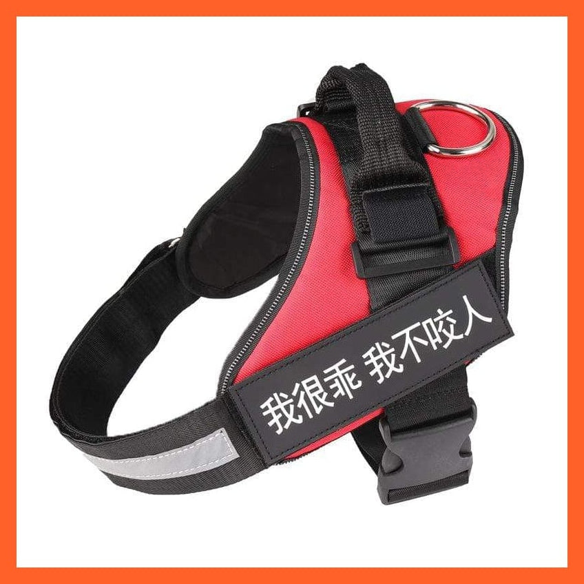 whatagift.com.au dog harness Personalized Custom Dog Harness | Dog Collar Name Safe Dog Harness