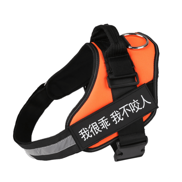 whatagift.com.au dog harness Personalized Custom Dog Harness | Dog Collar Name Safe Dog Harness