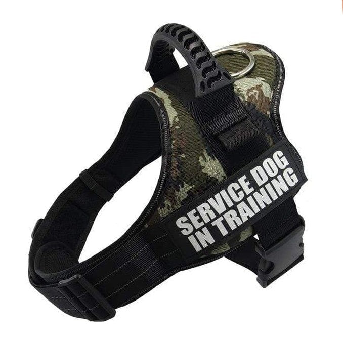 whatagift.com.au dog harness Personalized Custom Dog Harness | Dog Collar Name Safe Dog Harness