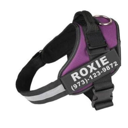whatagift.com.au dog harness Personalized Custom Dog Harness | Dog Collar Name Safe Dog Harness