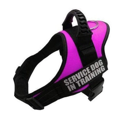whatagift.com.au dog harness Personalized Custom Dog Harness | Dog Collar Name Safe Dog Harness