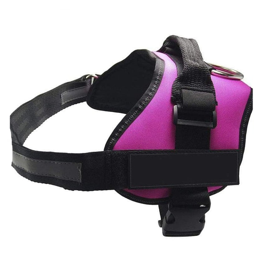 whatagift.com.au dog harness Personalized Custom Dog Harness | Dog Collar Name Safe Dog Harness